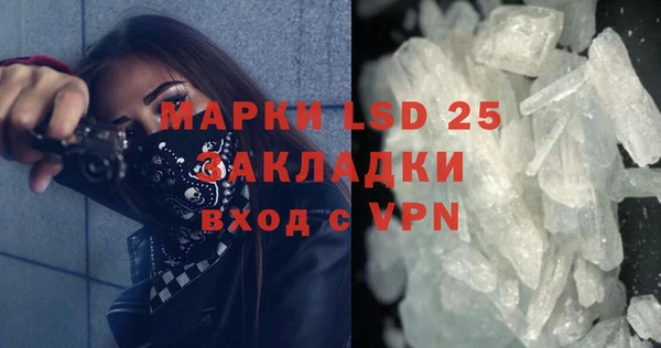 крисы Алзамай