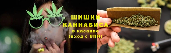шишки Алексин