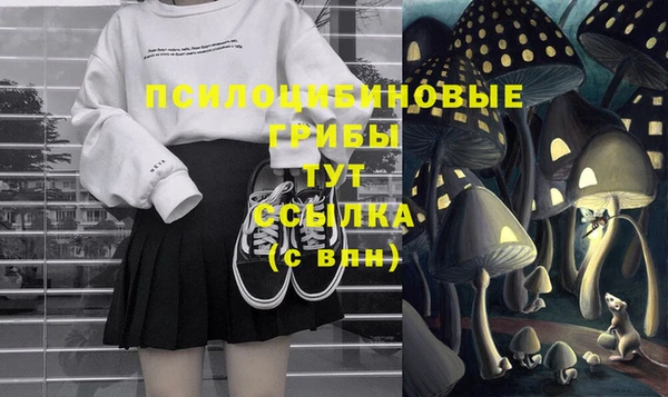крисы Алзамай