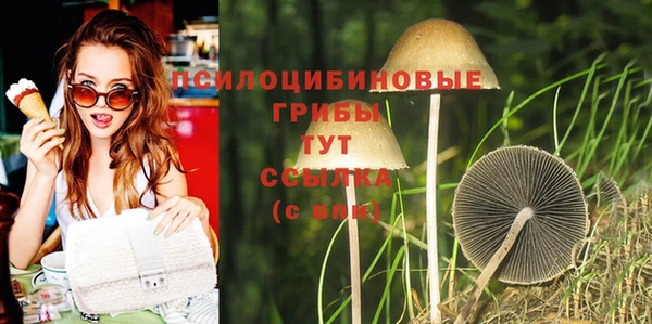 шишки Алексин