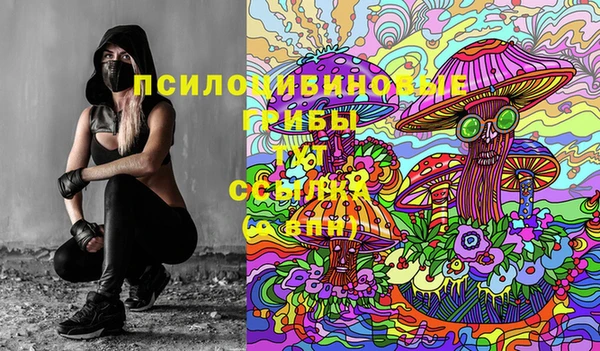 стафф Абаза