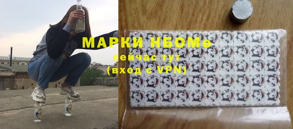 шишки Алексин