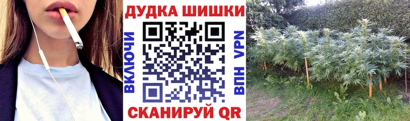 Конопля гибрид Константиновск